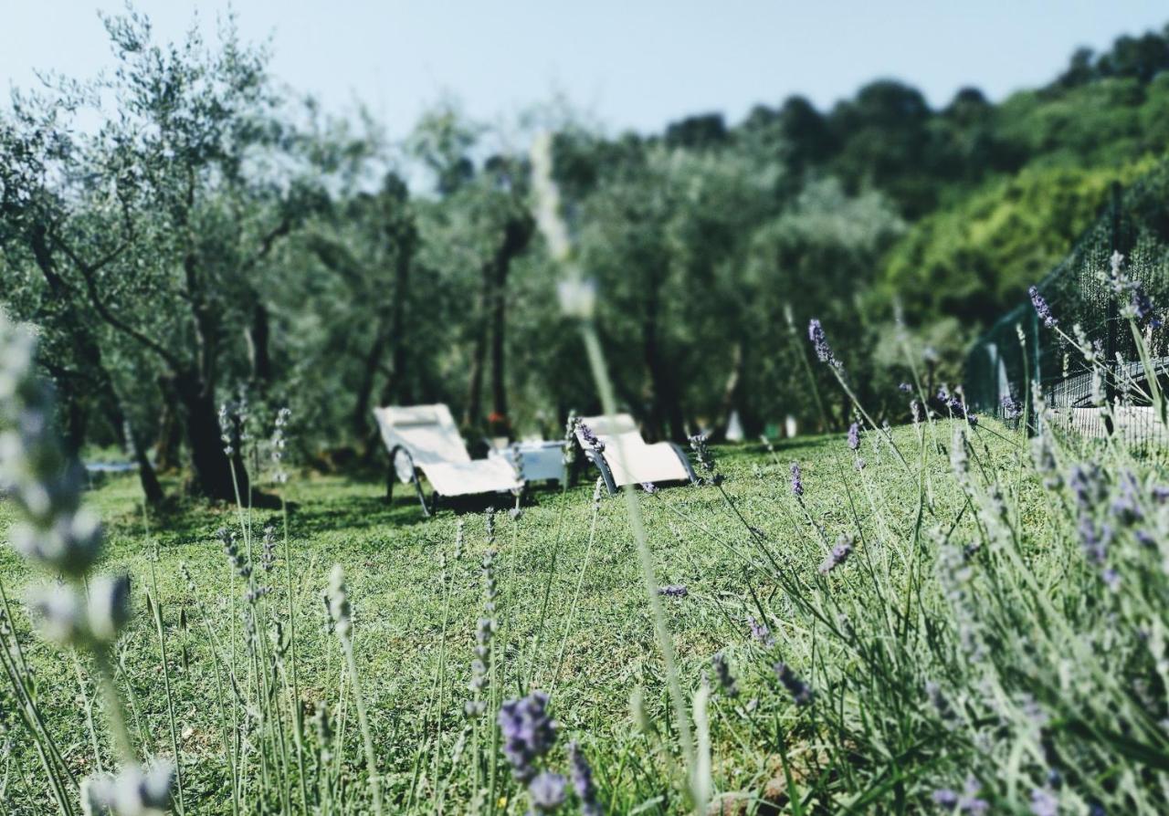 Bed and Breakfast Al Gattosaggio Montecarlo Exterior foto