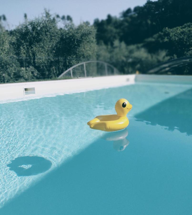 Bed and Breakfast Al Gattosaggio Montecarlo Exterior foto