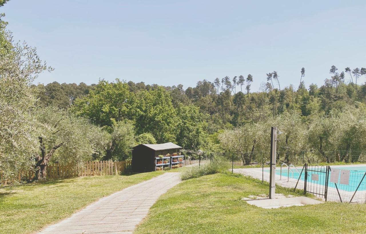Bed and Breakfast Al Gattosaggio Montecarlo Exterior foto