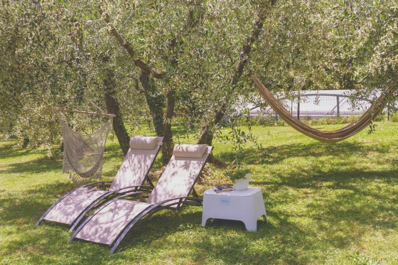 Bed and Breakfast Al Gattosaggio Montecarlo Exterior foto